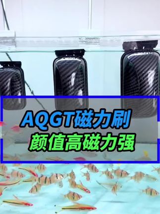 这个磁力刷真绝了,手不沾水就把鱼缸擦的干干净净的,绿藻褐藻也能轻松擦掉#磁茲力刷 #擦缸神器#鱼缸刷