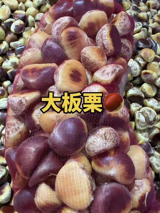 秋天的第一颗板栗,是大自然的季节信笺,河南信阳老家的大板栗成熟了#信阳美食 #家乡的味道 #新鲜采摘 #板栗 #大板栗