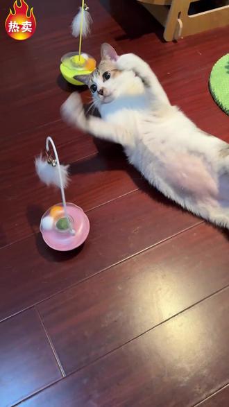 猫咪快乐一整天,不倒翁逗猫棒 #猫咪 #逗猫神器 #逗猫棒 #逗猫玩具