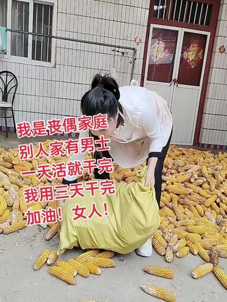 又是一年秋收季,啥都不想说,也不愿意求别人,也怕别人说闲话,五年都是这样熬过来的,人家干一天的活,我自己干三天五天,才能干完,感谢我父母,经常帮我,万般皆是命,半点不由人,#农民不易