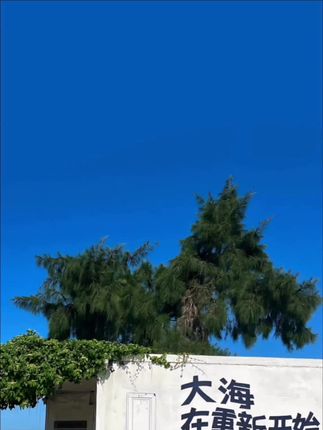 抄网头可折叠黑坑竞技网兜方便捞鱼网不挂钩超轻大物抄网全套#钓鱼 #钓鱼人 #渔网 #户外捕鱼 #野外专用捞鱼网兜