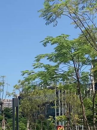 #风景都在路上 #风景