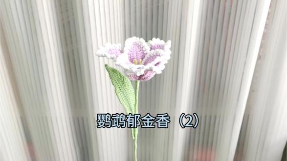 一针一线的慢时光,
让毛线在指尖绽放成永不凋谢的「鹦鹉郁金香」。
郁金香代表永恒的祝福,
而鹦鹉,是想把这祝福热热闹闹地告诉你。
#钩针图解 #手作礼物 #郁金香钩织#展示你的手工diy成果 #钩织