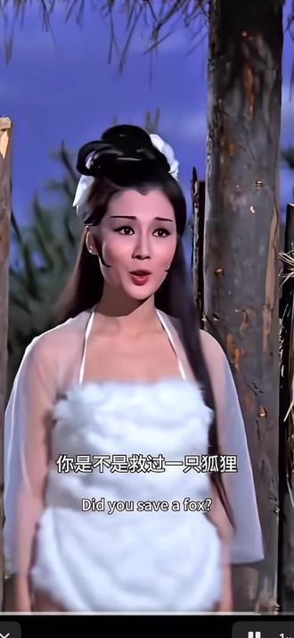 你是不是拿酱板鸭救过一只狐狸#演技炸裂 #酱板鸭 #狐狸