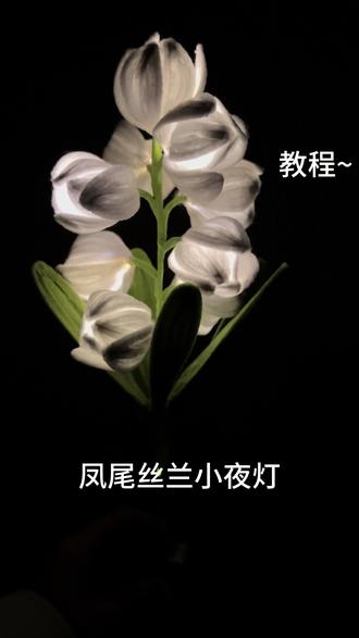 凤尾丝兰小夜灯扭扭棒教程#扭扭棒夜灯#手工diy #凤尾丝兰#手工礼物