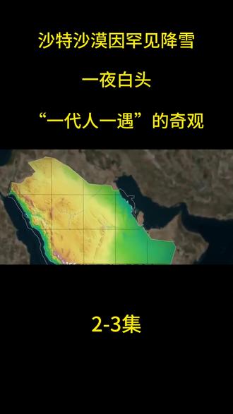 沙特沙漠因罕见降雪一夜白头 气象专家称此为“一代人一遇”的奇 #热点新闻事件 #国际新闻