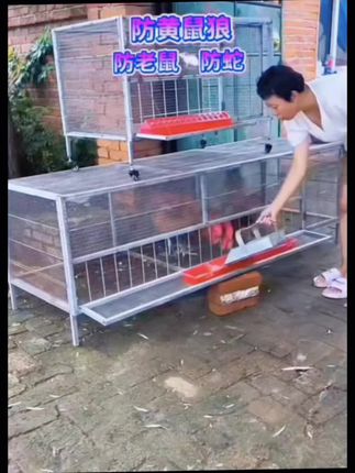 推荐一款便宜又适合农村养鸡鸭鹅兔鸽子等。芦丁鸡,小黄鸭多种小宠物非常实用。白天打开小门喂食,晚上关上小门防老鼠,防蛇,防防鼠狼。#鸡笼#强烈推荐#超便宜超划算#好东西一起分享#爆款热卖中