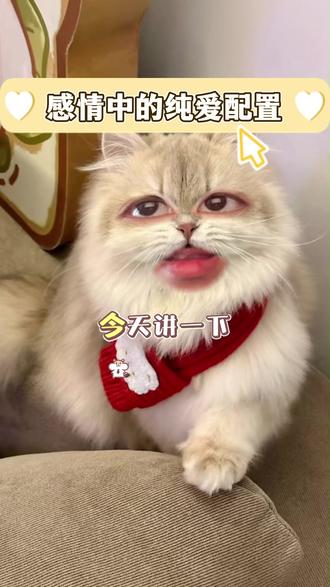 感情中的纯爱配置 #星盘 #星盘分析 #星座 #情感 #占星