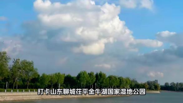 #我的足迹地图 打卡山东聊城茌平金牛湖国家湿地公园!3100亩碧水如镜,因形似卧牛得名。环湖绿道蜿蜒,白鹭翩跹,春日繁花满岸,夏日荷风送香。登观鸟塔、乘游船、逛金牛雕塑,在城市绿肺里吸氧,听金牛传说,看鲁西平原的温柔湖光,治愈又出片 。#金牛湖 #山东 #吃喝玩乐分享计划