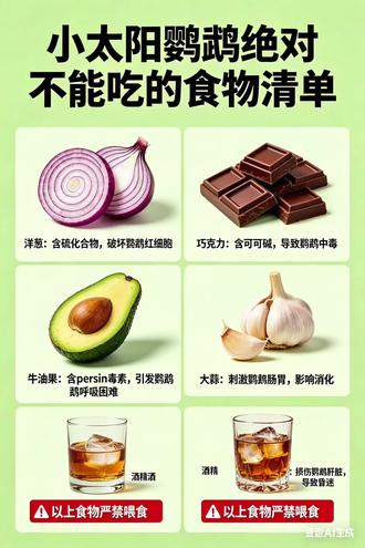 新手养鸟|关注我看干货
#粉丝一千万 #鹦鹉日常 #手养鹦鹉 #萌宠 #家养鹦鹉