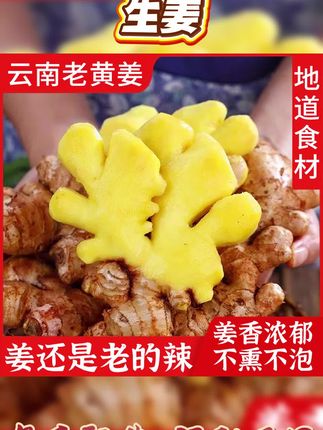 (小黄姜老姜)云南山区现挖生姜农家新鲜土姜月子姜9/5/3斤调料#老黄姜 #生姜 #生姜种植 #生姜的妙用 #生姜片