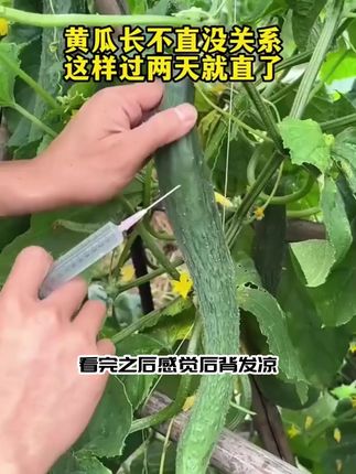 果蔬检查紫光灯鉴定波尔多荧光剂紫外线残留检测笔#无限回购的宝藏单品 #男士神仙单品 #在抖音入手的好东西
