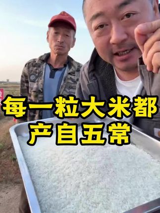 老马家五常大米,今年的新米,每一粒米都产自五常,69.9到手10斤,好吃不贵,送礼有面#老马在草原 #五常大米 #大米 #好吃不贵 #保真