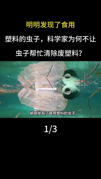 明明发现了食用塑料的虫子,科学家为何不让虫子帮忙清除废塑料?
