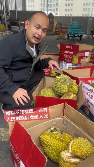 低于二十一斤的榴莲别买别吃!#益生菌榴莲