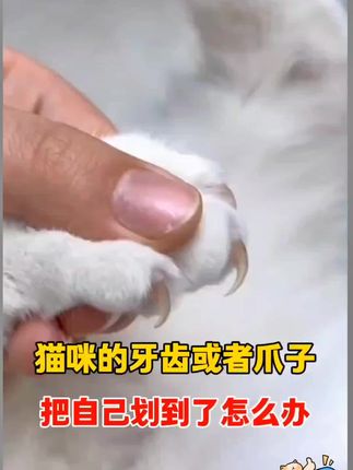 #科普一下 #狂犬病毒检测卡