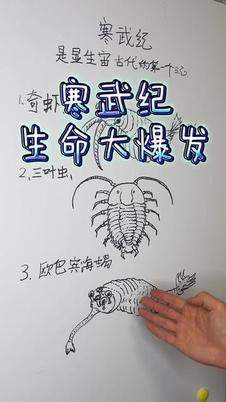 寒武纪生命大爆发!#知识科普 #简笔画 #绘言志