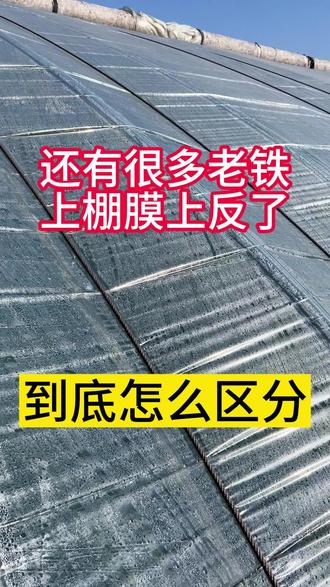 到现在为止,还有很多老铁上棚膜上反了!今天1分钟教你彻底解决! #种植大棚 #三农 #大棚膜生产厂家