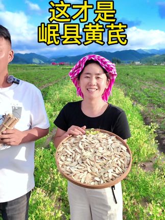来自甘肃高山老黄芪,来自大自然的馈赠!不好喝包退!