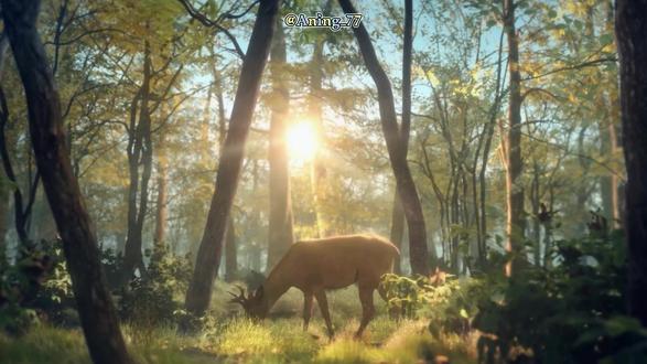 程和光pv这几段极具动画感! #重返未来1999
#不老春
#重返未来新春版本
#程和光
#游戏内容风向标