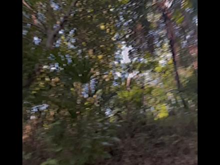 Official Trailor:自然を守る (2023)
#採訪內所有品牌均未贊助
Credit: None of the brand mentioned in this clip had sponsored us. #tag好累隨便吧