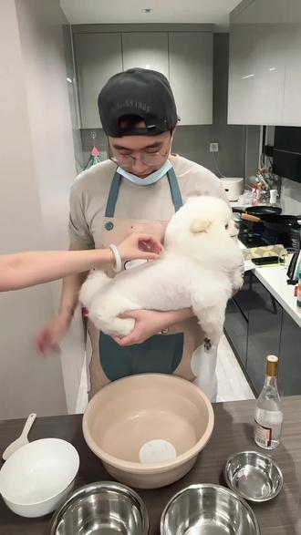 哎呀美女,这个不能用手摸呀! #霉豆腐 #霉豆腐制作 #小狗