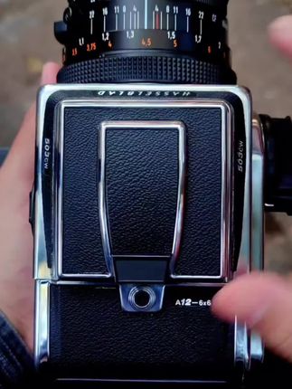 祝大家国庆节快乐呀,吃好喝好玩好#多喜爱 #和岚图一起秀出中式豪华 #萌宠好物 #萌宠 #萌宠好物抖起来