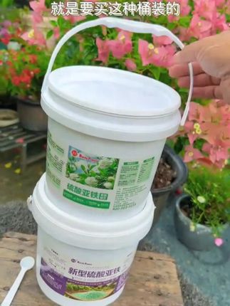 秋天到了,花卉绿植养护 #硫酸亚铁有活动 #花大状旗舰店发货 #硫酸亚铁䃼铁剂 #改良土壤酸碱度 #桶装更易保存,促花壮根,绿意盎然,园艺生活。