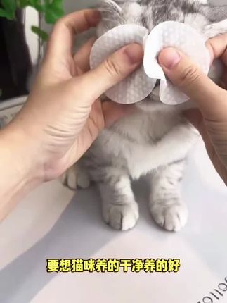 猫咪狗狗有泪痕,可以试试这款宠物眼部湿巾,选用优质无纺布,天然植物提取精华,温和不刺激#萌宠好物 #养宠经验分享 #宠物眼部湿巾 每宠舒缓眼部温和擦泪痕去除眼屎养幼猫咪眼睛清洁博美比熊专用品