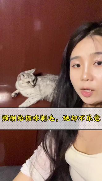 我们俩商量商量不给你剃平头,让我剃点吧! #我和我的猫#猫咪#猫#猫咪出道计划