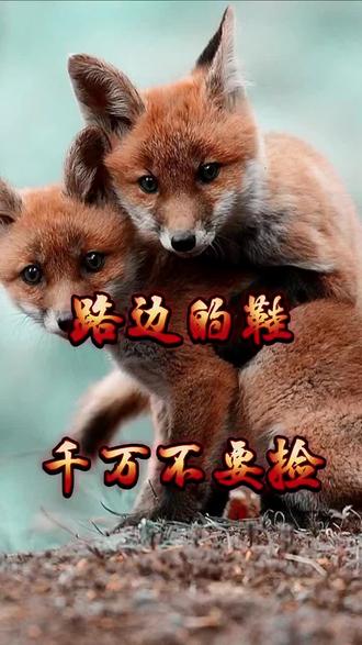 路边的鞋千万别捡#听民间故事品百味人生 #民间故事 #民间传说 #奇闻异事