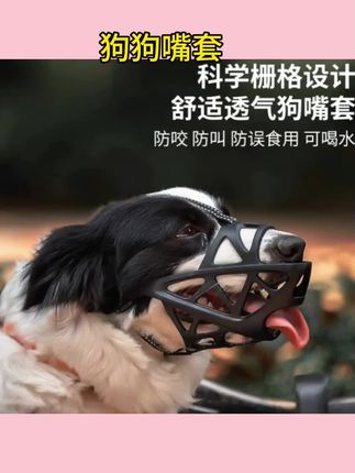 #狗狗嘴套 狗狗嘴套防咬防叫防乱吃中型大型犬柯基金毛边牧口罩止吠器可喝水#止吠器 #防乱咬 #防乱吃 #中大型犬