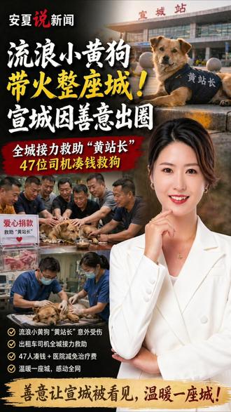 全网刷屏的“黄站长”,凭什么带火一座城?
不是炒作,不是营销,是安徽宣城一群普通人的善意接力。
流浪狗“黄站长”被撞受伤,出租车司机、爱心人士、宠物医院携手救援,用微小的善意,点亮了整座城。#黄站长 #安徽宣城 #流浪狗 #抖音热评 #爱心