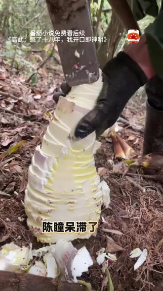 番茄小说免费看后续#《高武:憋了十八年,我开口即神明》#番茄小说#解压小说#解压视频 #解压神器