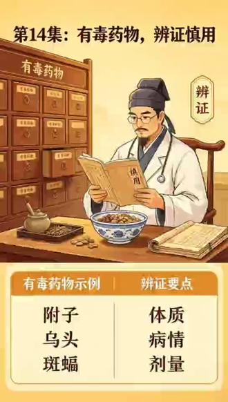 第14集.有毒药物,辨证慎用 附子、半夏、南星、曼陀罗是毒草部的核心代表,毒性与功效均十分突出。附子大毒,辛甘大热,归心、肾、脾经,能回阳救逆、补火助阳,专治危重寒证;半夏有毒,辛温,燥湿化痰、降逆止呕,是化痰常用药;南星有毒,苦辛温,燥湿化痰、祛风止痉;曼陀罗有毒,辛温,平喘止咳、麻醉止痛,临床需严格控制用量。