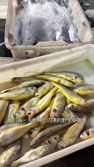 #海鲜水产 吃腻了螃蟹,来点海鲜,正宗吕四港海鲜,吕四小眼睛油带鱼,野生小黄鱼,全是批发价