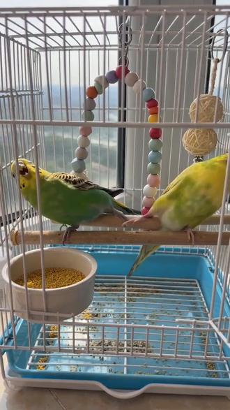 #AI人物和解故事 #抖音ai创作