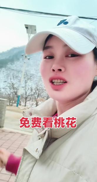 你说的这两个地方确实是天津蓟州看桃花的宝藏地,而且都免费!现在(3月8日)桃花还没到盛花期,不过很快就要开了,这篇攻略帮你把两个地方的特点和玩法理清楚。
简单来说:
- 道古峪村:花开得最早,是大山里的第一抹春色。
- 大岭后村:视野最壮观,可以俯瞰漫山遍野的花海。
🌸 蓟州道古峪村:最早的报春使者
这里的桃花以开花早而闻名,是蓟州山里最早的报春使者。
- 看点:山桃花在3月中旬就会抢先绽放,比梨花早开近二十天。在尚未完全返青的群山映衬下,粉色的花显得格外娇嫩醒目。这里的桃花多生长在陡峭的山坡上,有种野性的烂漫之美。
- 花期:预计3月中旬至3月底是最佳观赏期。
- 游玩建议:这里更像一个未经雕琢的徒步秘境,除了赏花,村子附近还有登山步道,可以顺道爬山吸氧。
🌸 蓟州大岭后村:俯瞰漫山花海
这里是公认的蓟州桃花最佳观赏地之一,以规模大和视野好著称。
- 看点:拥有多达5000亩的山场,野生桃花盛开时极为壮观。最棒的体验是可以俯瞰山谷里的漫山花海,景色非常震撼。村子地处京津冀交界,山顶还有“一脚踏三省”的界碑,很有特色。
- 花期:与道古峪村相近,大约在3月中下旬至4月上旬。
- 游玩建议:导航可直达,有最佳观景台。周末人可能较多,建议早点去或把车停在山下,徒步上山,更能感受花海环抱的乐趣。
💡 怎么选?
- 想最早看到春天:就选道古峪村,它会给你带来初春的惊喜。
- 想看最壮观的花海:首选大岭后村,俯瞰的视角绝对值得。
温馨提示
- 最佳时间:今年花期预计会提前几天,3月下旬到4月上旬是观赏山桃花的黄金时间 。
- 注意保暖:山区早晚温差大,即使是春天,也要注意带件保暖的外套 。
- 防火第一:春季是山区防火关键期,赏花时绝对不要使用明火 。
- 交通方式:两个村子都比较适合自驾前往,更自由方便 。