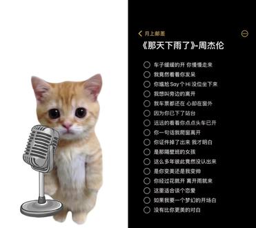 和 @月上邮差 一起 #合拍 《那天下雨了》#周杰伦太阳之子 #周杰伦