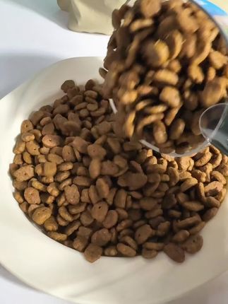 单斤个位数,纯纯捡漏价‼️还送猫条和排毛膏‼️长肉胖腮三文鱼猫粮,价格还划算,性价比超高‼️#养猫新手 #养猫人 #美滋元三文鱼猫粮 #平价猫粮推荐 #美毛猫粮