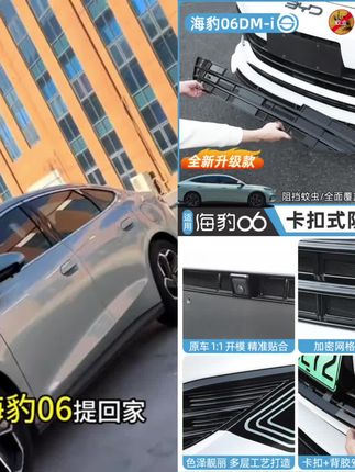 比亚迪海豹06dmi防虫网专用中网前杠水箱防保护网罩外饰改装配件 #比亚迪海豹#海豹06dmi #汽车防虫网#中网防虫网#汽车好物