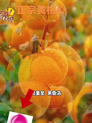 非常好吃。