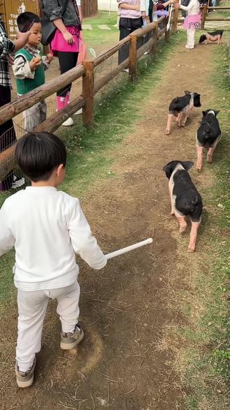 周末假期不知道去哪遛娃那就来安海的这家天泓一亩田农场 #遛娃好去处 #亲子乐园 #亲子活动 #乡村生活 #晋江安海
