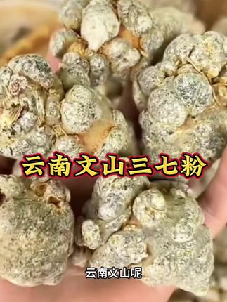 云南文山三七粉#正品三七粉#每天喝一杯好处多多