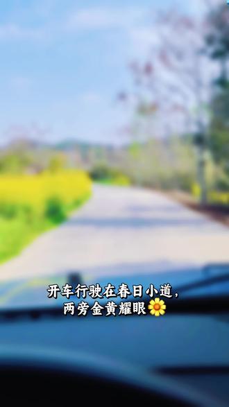 #记录家乡美景 北川辛夷花开