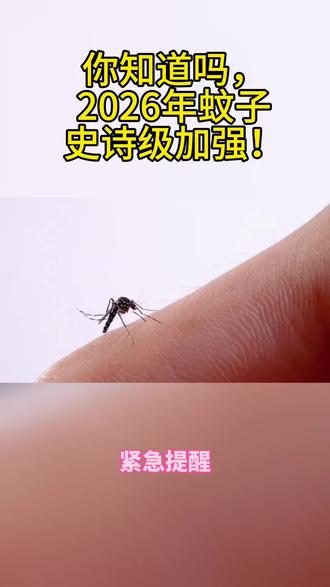 你知道吗,2026年蚊子将迎来史诗级加强!
#冷知识科普 #科普日常冷知识 #我们老百姓有几个能知道这些知识
