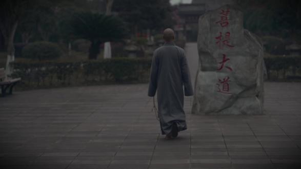 万般随缘 人生富贵、生死、缘分、子女皆有定数,不必强求,万般随缘,心无执念,心安便是世间最好的圆满。#人生哲理 #修心修行 #禅悟人生 #活在当下