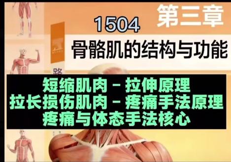 1504肌动学第三章 体态与疼痛手法与训练原理
#知识分享 #康复#筋膜#肌动学 #塑形