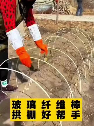 玻璃纤维杆小拱棚支架黄瓜架杆爬藤保温大棚棚杆菜棚骨架支撑杆#玻璃纤维杆拱棚支架 #拱棚支架厂家 #爬藤架子