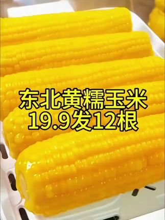 19.9到手12根,而且还都是大棒🌽#东北黄糯玉米 又大又甜又香糯#糯玉米的营养价值 #软糯香甜 大人小孩都爱吃,太香了#哇又便宜又好吃 #粗粮
